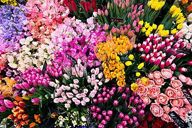 Epic喜加一：《尤库的小岛速递》免费领取